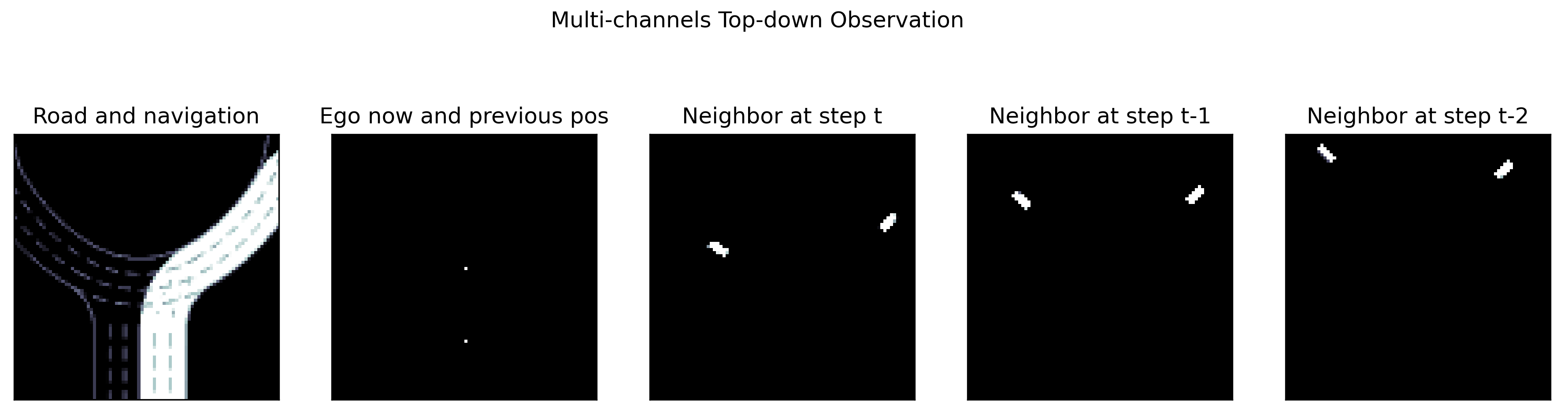 _images/top_down_obs.png